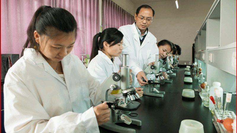 药包材代理加盟需要什么条件