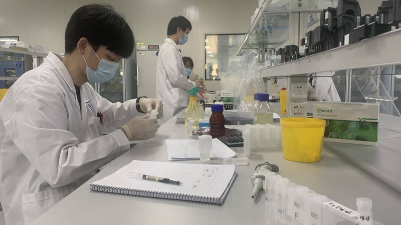 医药招商代理合同模板：关键要素与注意事项