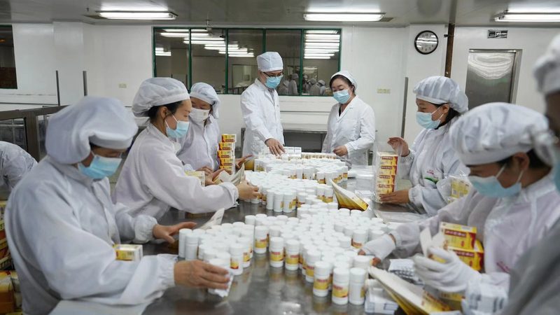 医药流通公司分类解析：揭秘行业多元格局**
