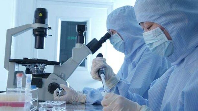 食品级药用辅料：药品制造中的隐形功臣