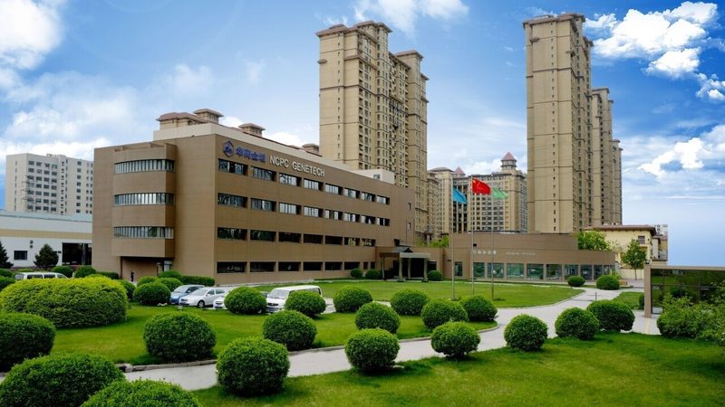 药包材生产洁净车间：守护药品安全的隐形堡垒**