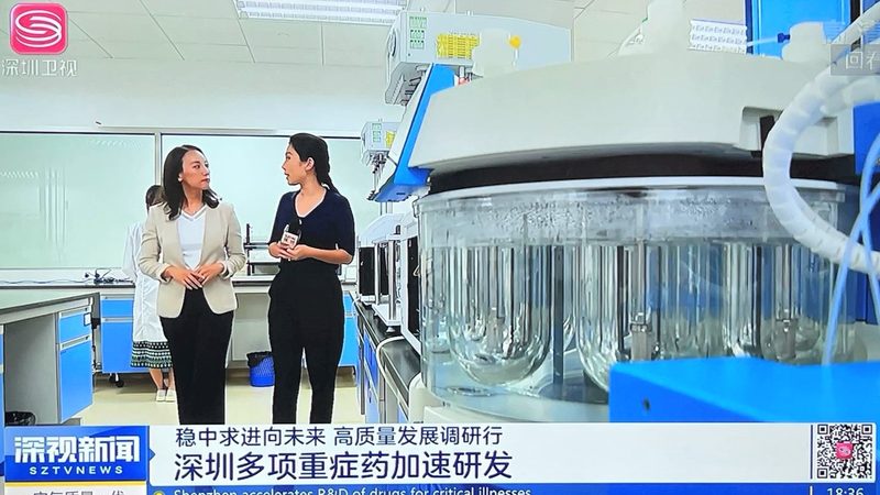 药用辅料纯度检测：标准解读与重要性