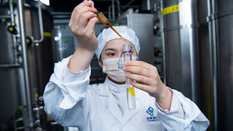 医药公司加盟代理：费用构成与考量因素**